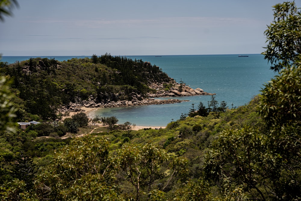 a view of a body of water surrounded by trees