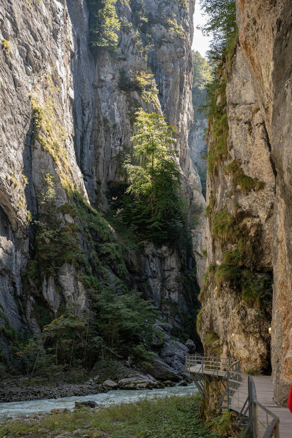 a woman standing on a bridge over a river