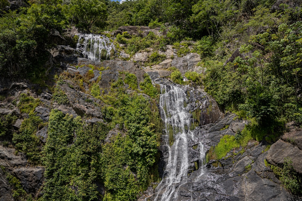 a waterfall in the middle of a lush green forest