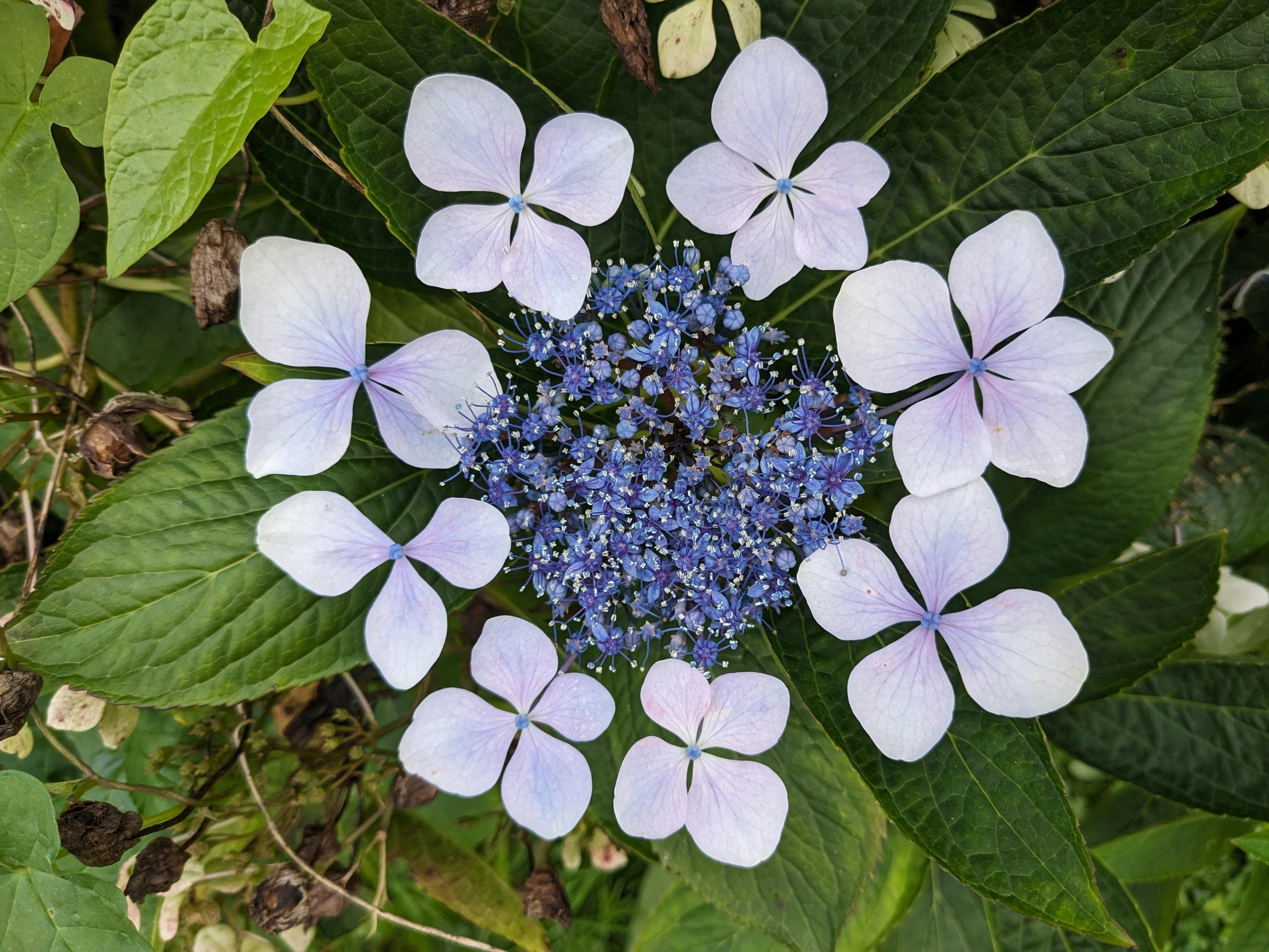 Photo by kativarga