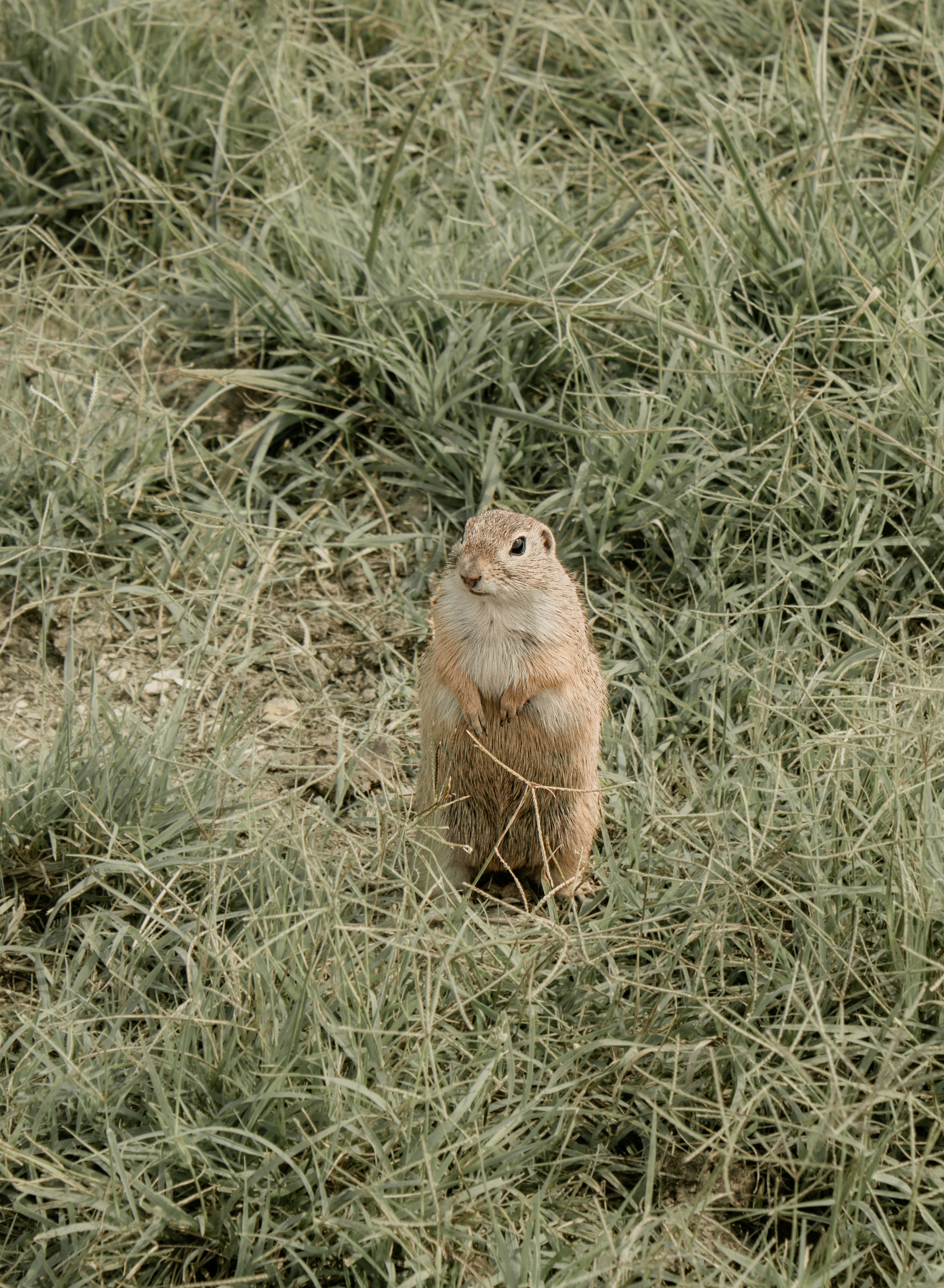 Photo by marlene_haiberger