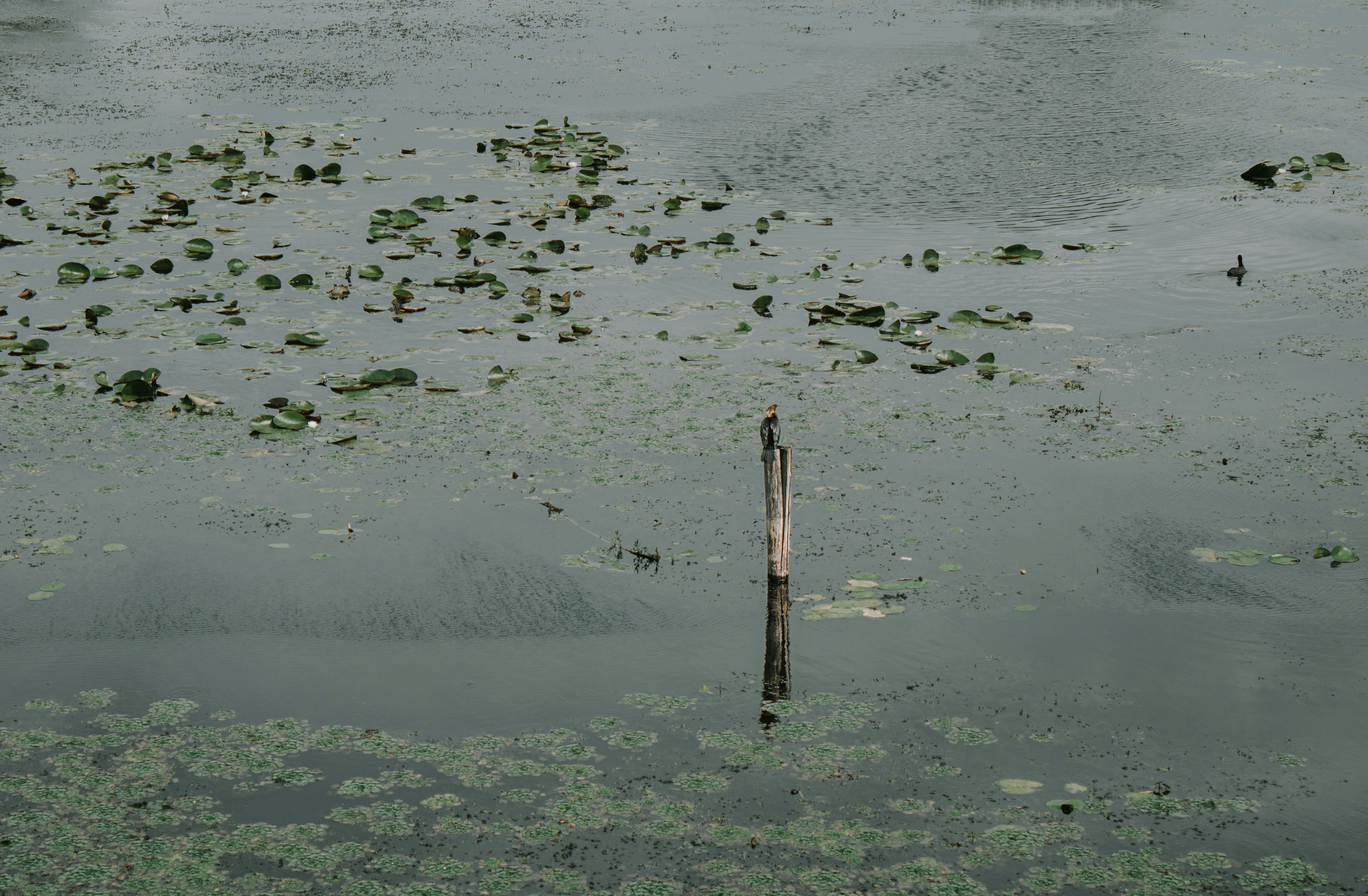 Lake Balaton – Activities & Attractions