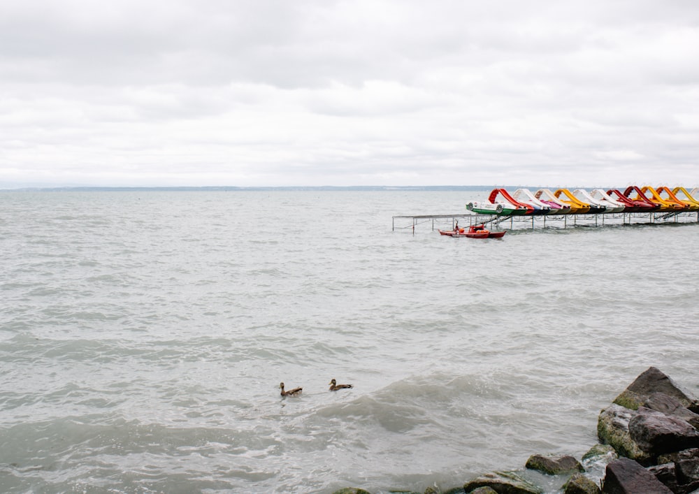 a group of boats floating on top of a body of water