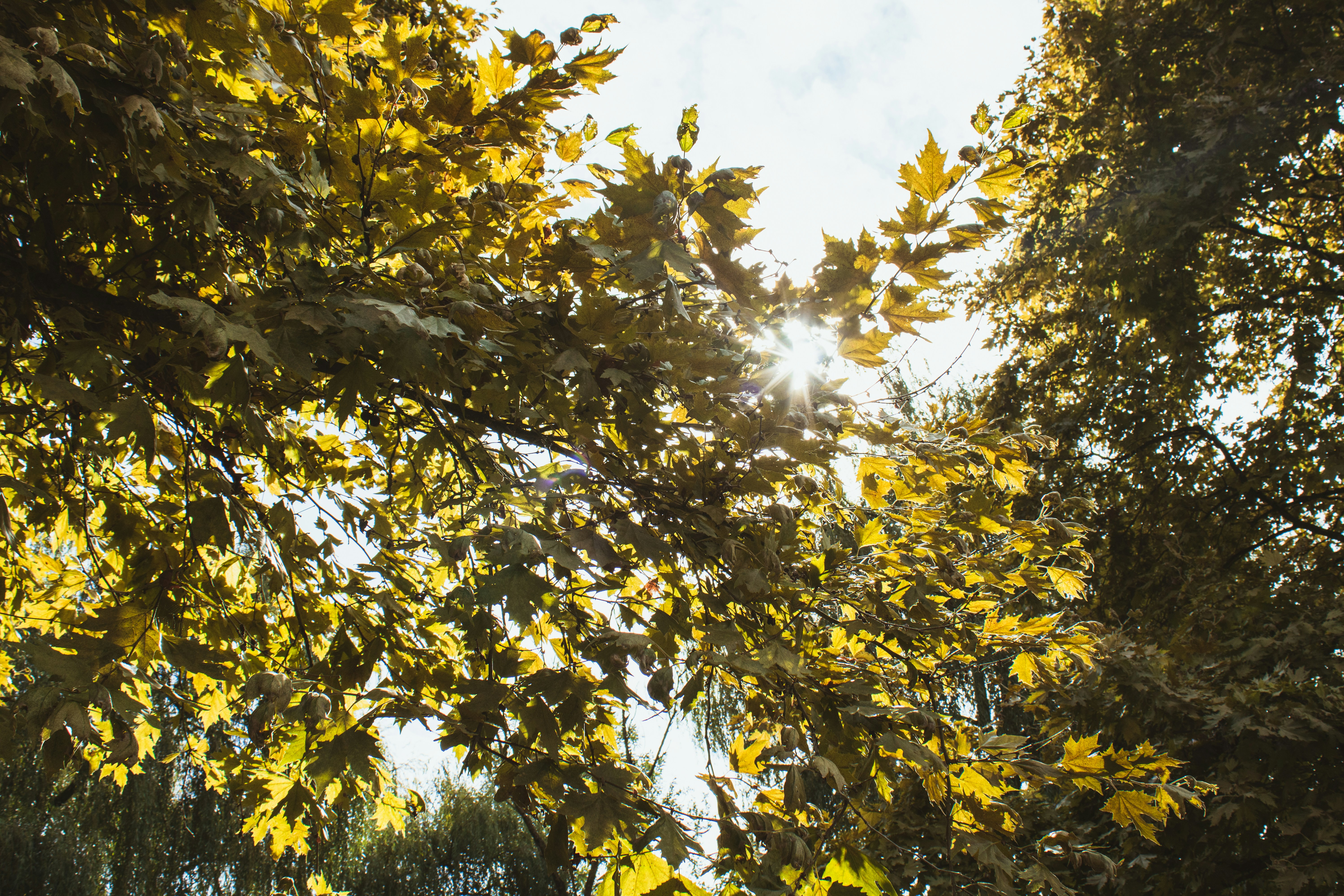 Photo by marlene_haiberger