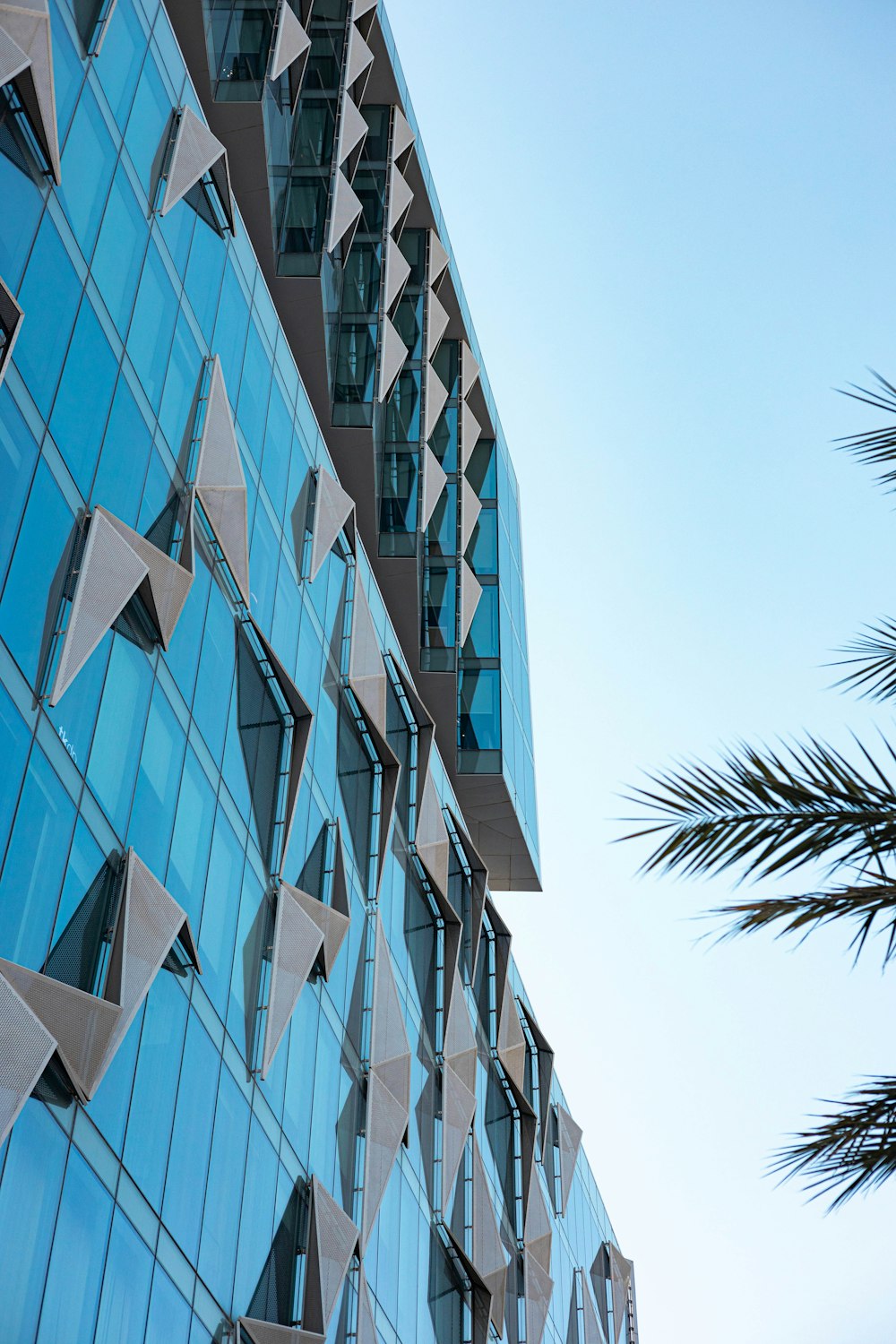 a tall building with many windows next to a palm tree