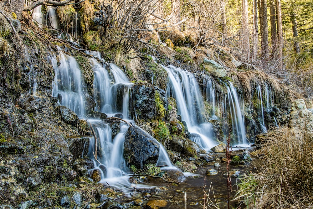 a waterfall in a forest with moss growing on the rocks