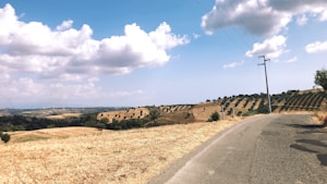 Paseo a Caballo