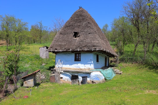 A rustic, thatched-roof cottage surrounded by lush greenery and trees, situated in a rural setting. The cottage appears weathered, with a blue and white exterior, small wooden windows, and a large, steeply sloped roof. Nearby, there are wooden structures and simple fences, with a bright landscape accentuated by a clear blue sky.