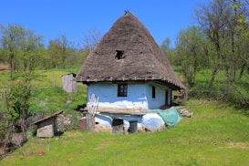 A rustic, thatched-roof cottage surrounded by lush greenery and trees, situated in a rural setting. The cottage appears weathered, with a blue and white exterior, small wooden windows, and a large, steeply sloped roof. Nearby, there are wooden structures and simple fences, with a bright landscape accentuated by a clear blue sky.