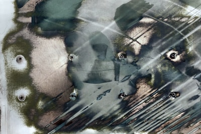 An abstract composition blending human forms and insects in dark, moody tones.