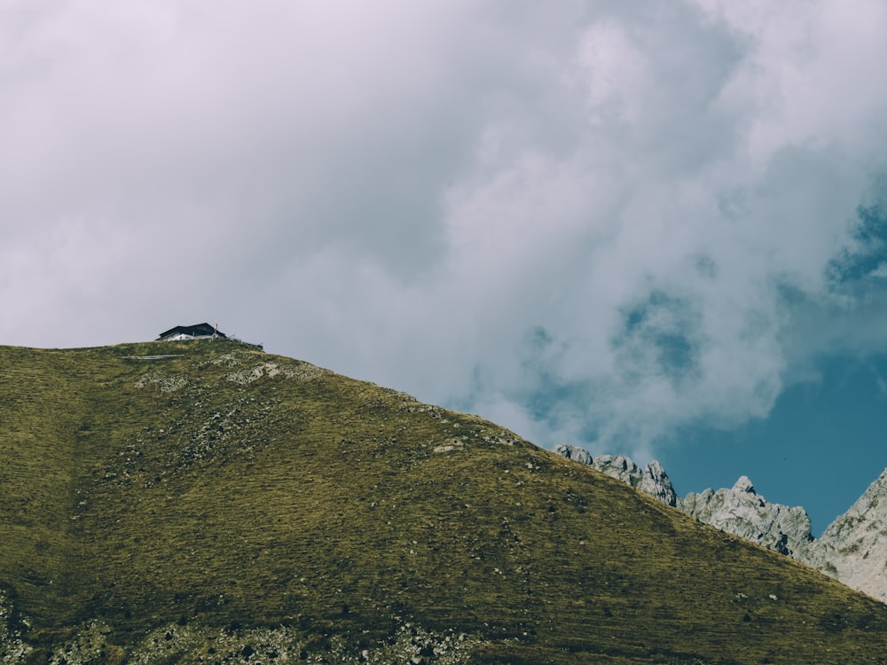 a lone animal standing on top of a lush green hillside