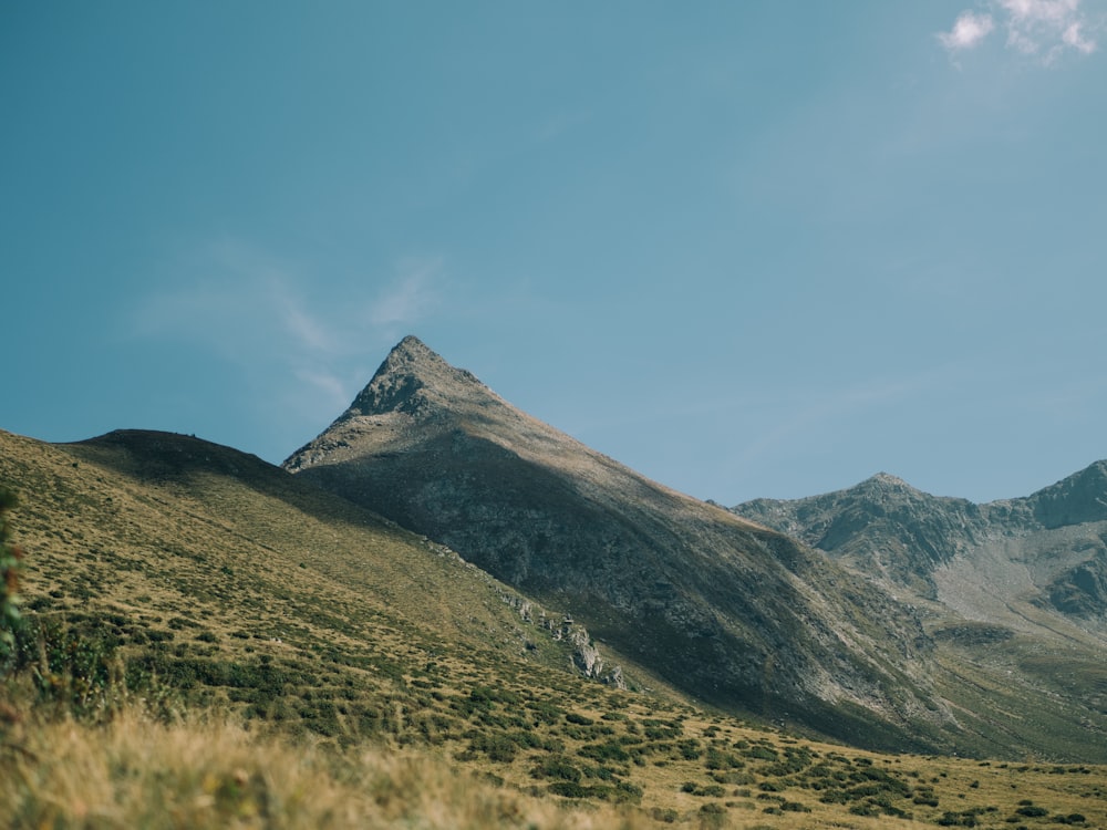 a view of a mountain range from a grassy field