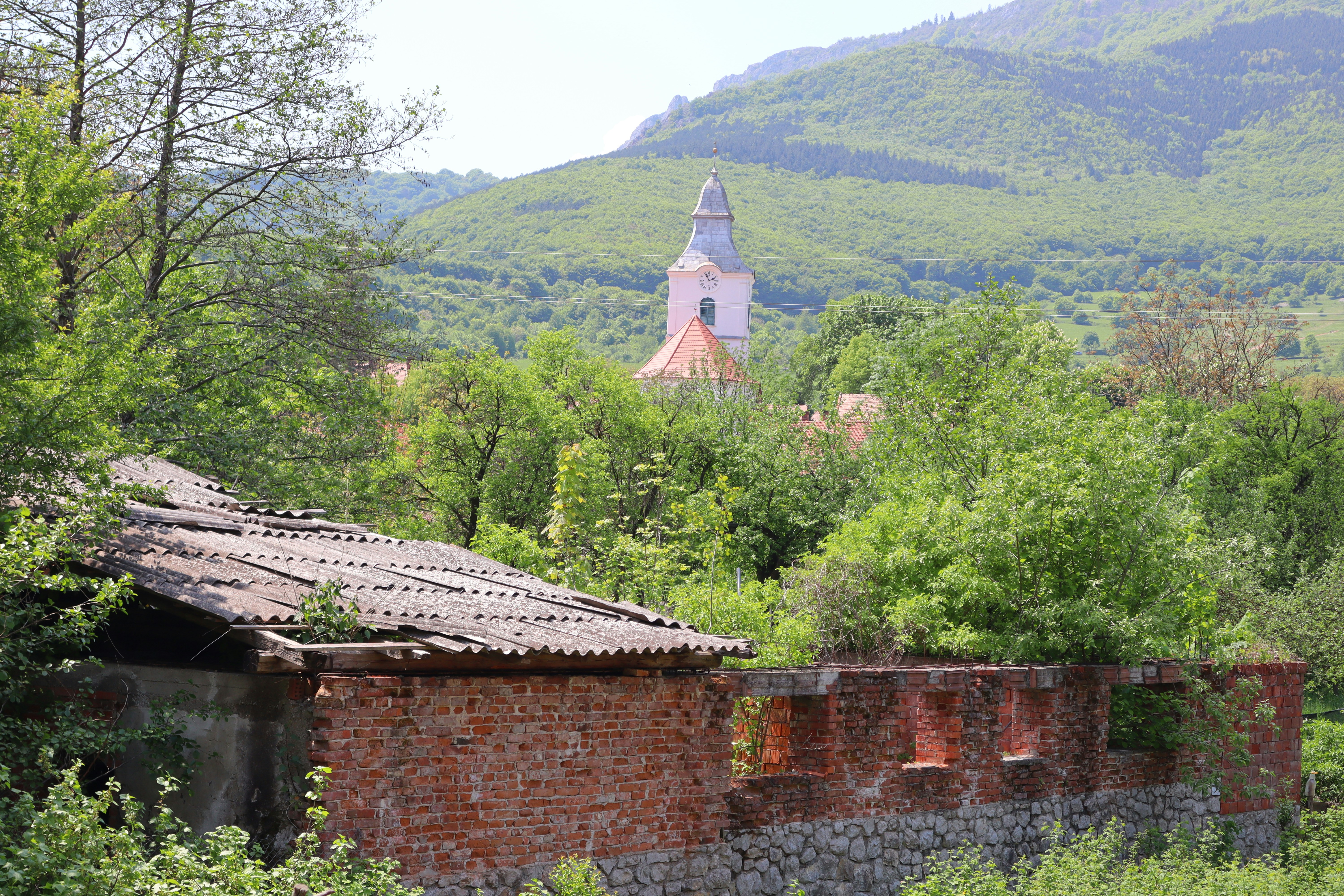 Photo by zoltanbiro1988