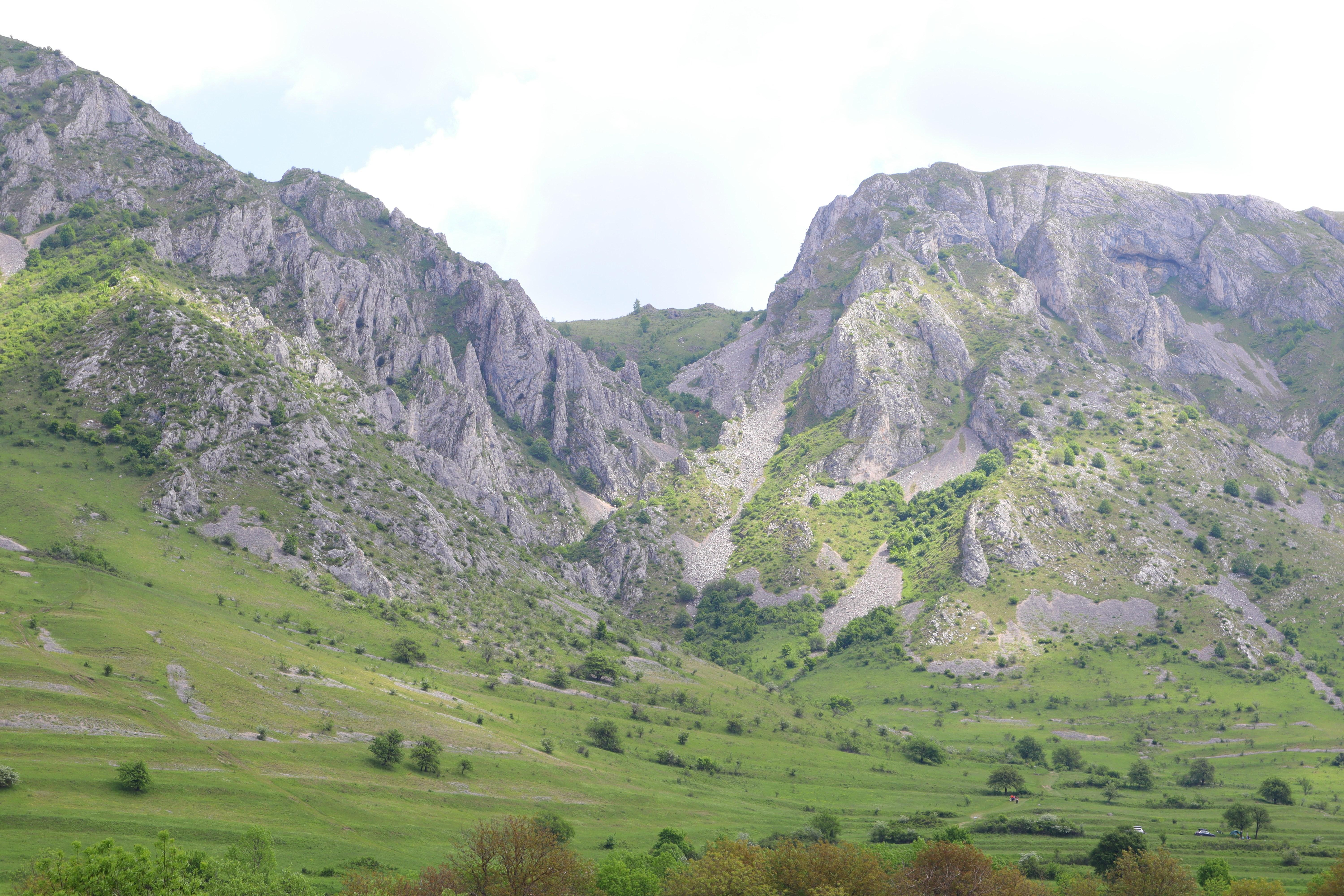 Photo by zoltanbiro1988