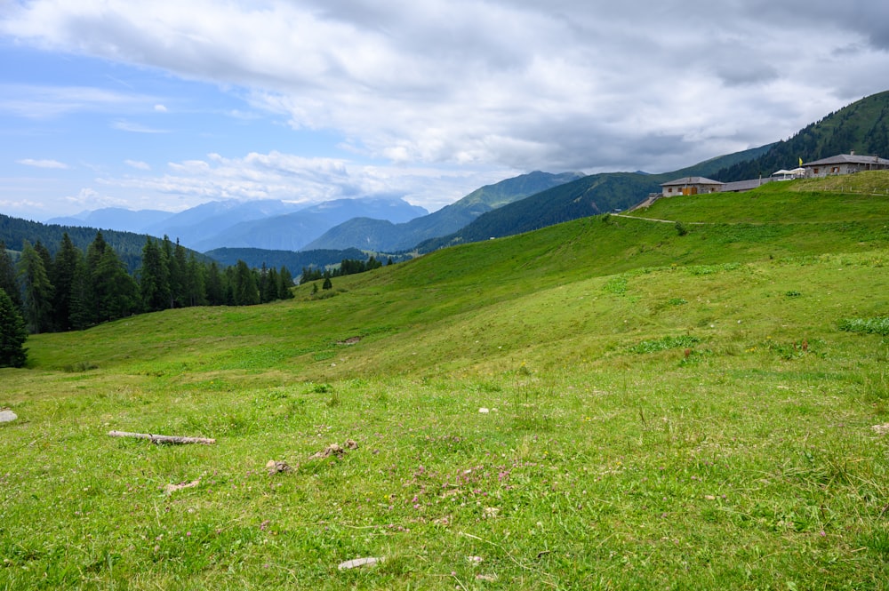 a lush green hillside covered in lots of grass