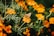 A delicate butterfly with patterned wings is perched on a vibrant orange flower. Surrounding the butterfly are numerous similar flowers and green foliage, creating a lively natural setting.
