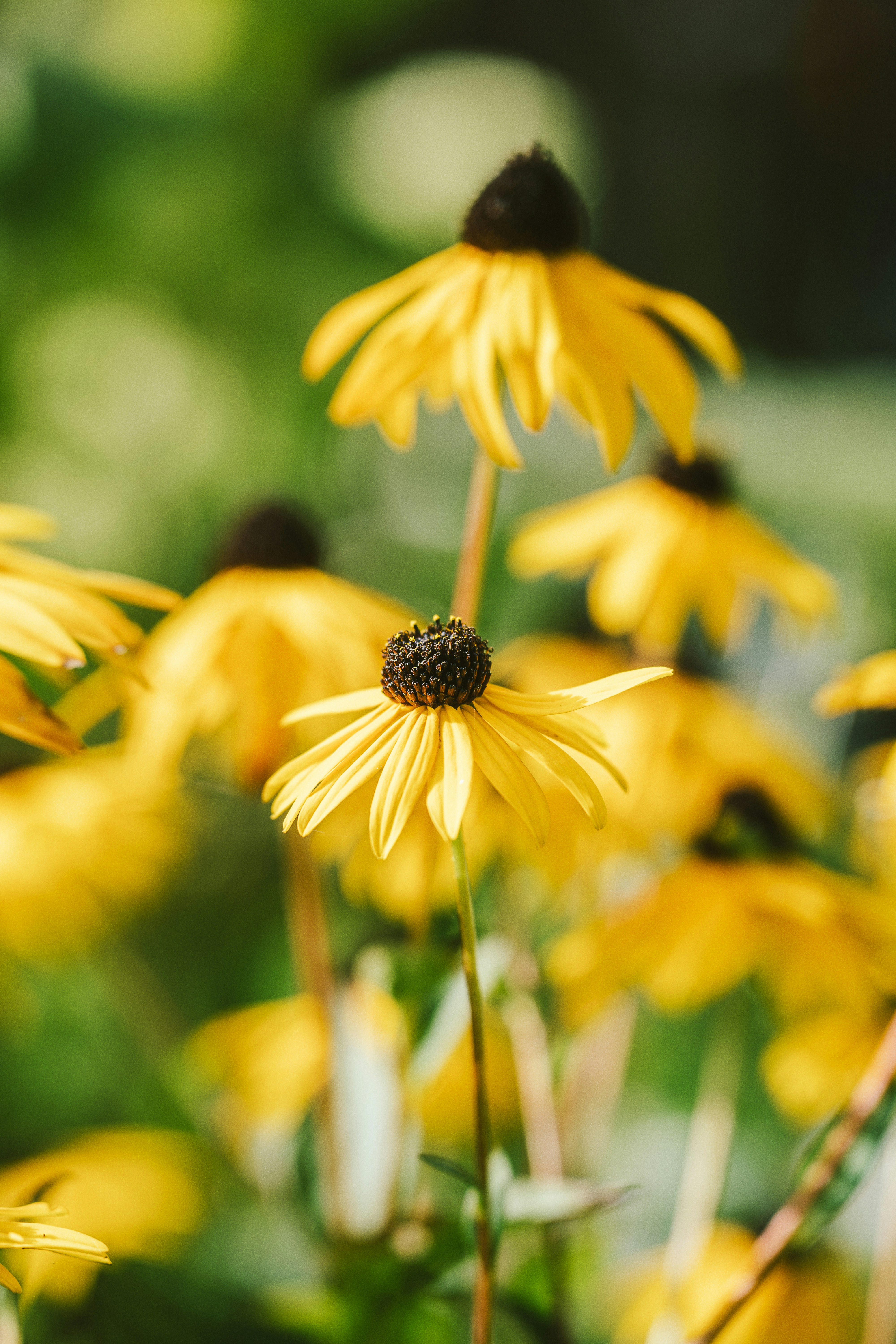 Photo by alexshuperart