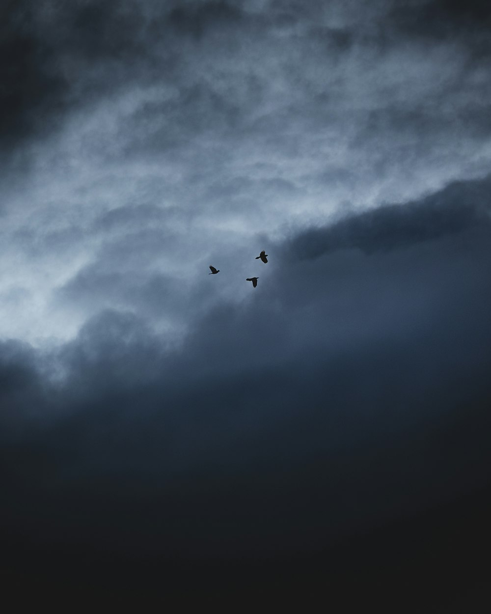 a couple of birds flying through a cloudy sky