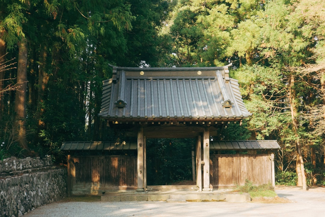 a small wooden structure in the middle of a forest,