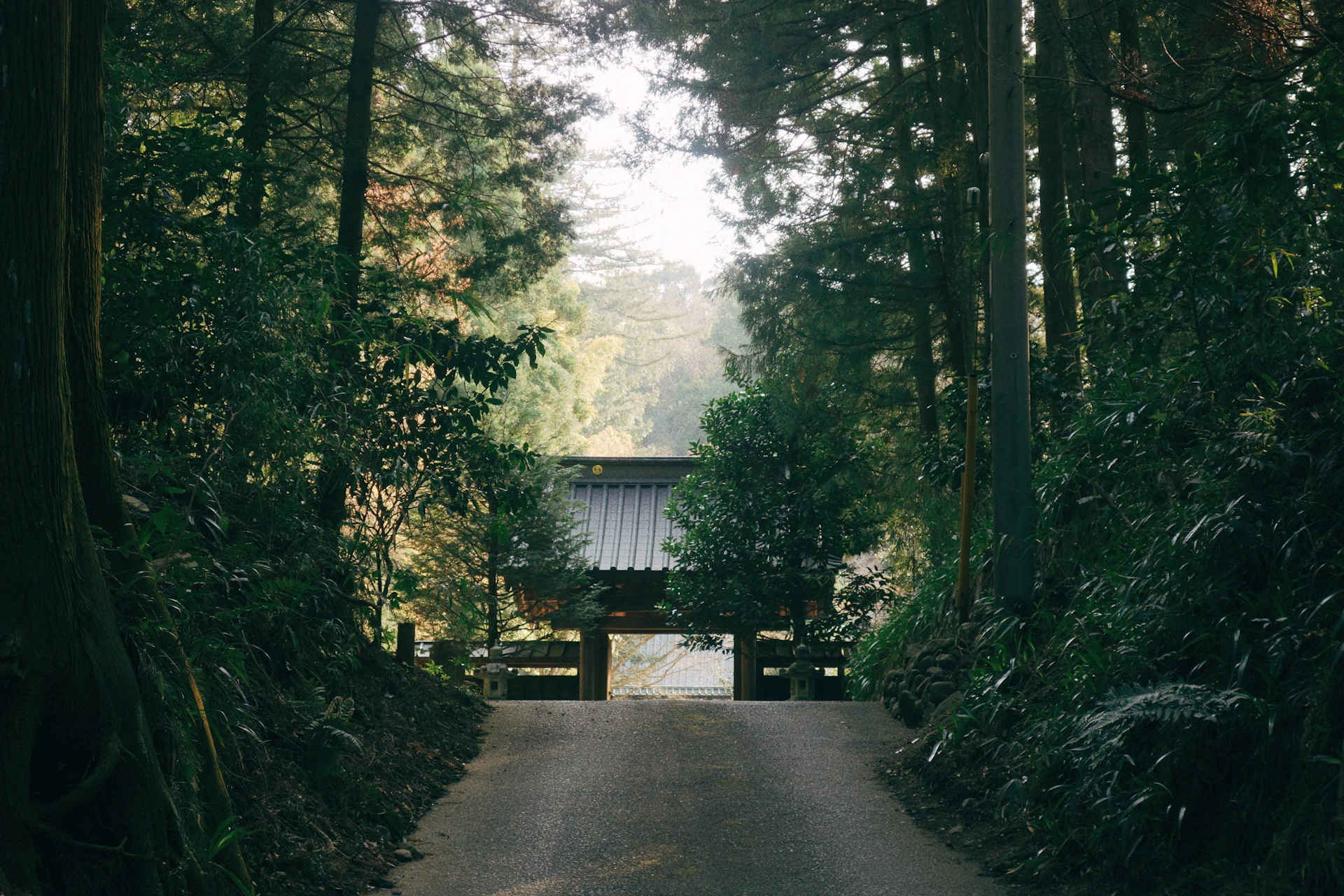 a path through a forest with a gate in the middle