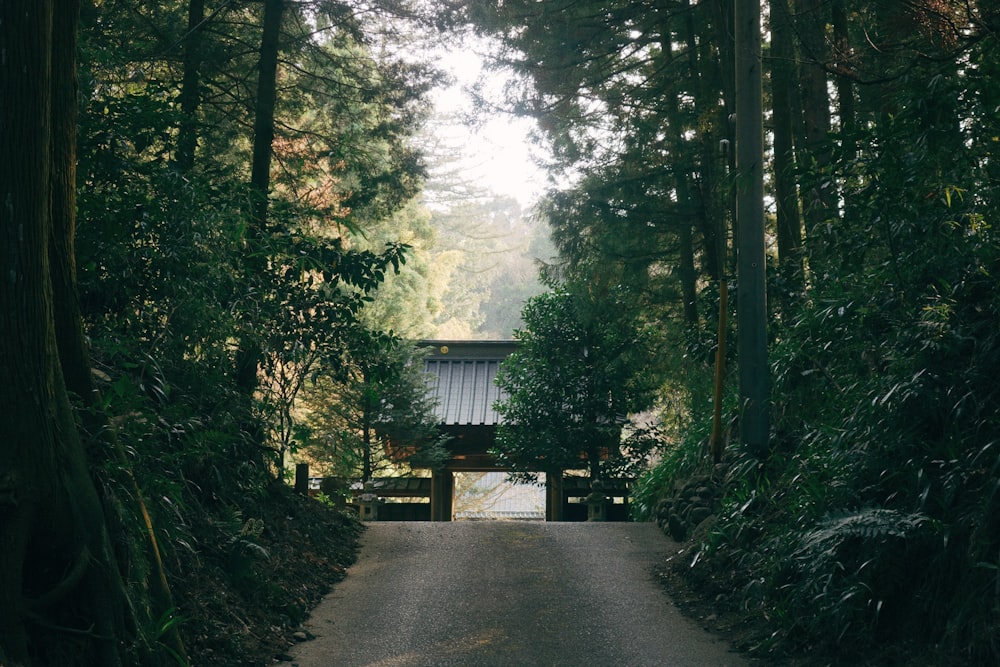 a path through a forest with a gate in the middle