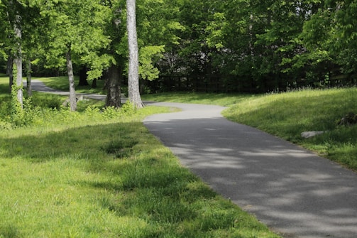 A picturesque walking path in Mote Park.