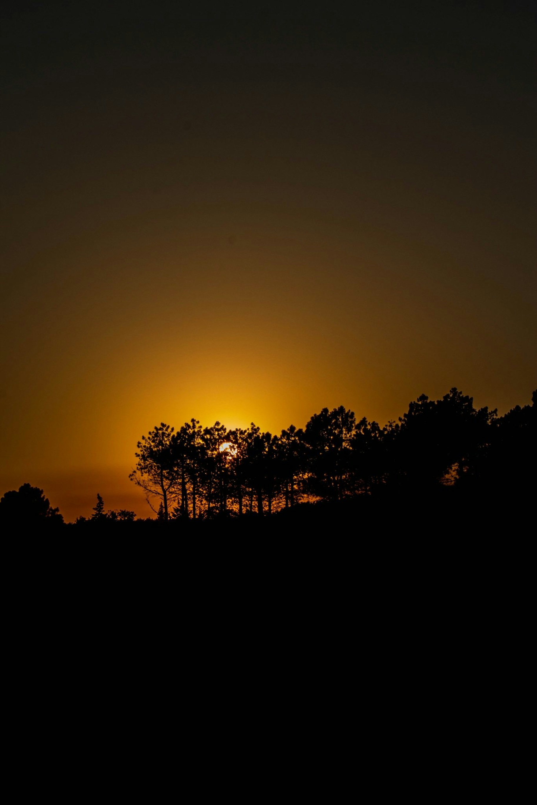 Photo by furkanunsalan