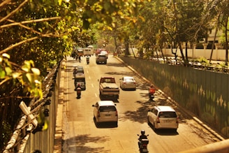 A city roadway bustling with vehicles, including cars, motorcycles, and a pickup truck. The road is flanked by tall trees and a construction barrier adorned with greenery patterns. The scene is set under a golden-hued lighting, suggesting mid-morning or late afternoon.