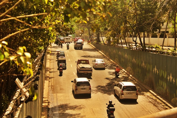 A city roadway bustling with vehicles, including cars, motorcycles, and a pickup truck. The road is flanked by tall trees and a construction barrier adorned with greenery patterns. The scene is set under a golden-hued lighting, suggesting mid-morning or late afternoon.