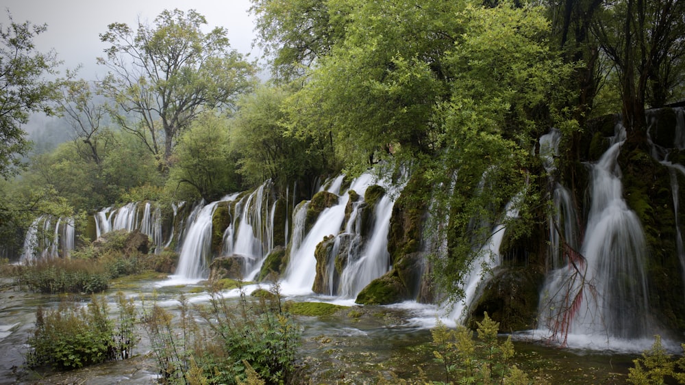 a group of waterfalls in the middle of a forest