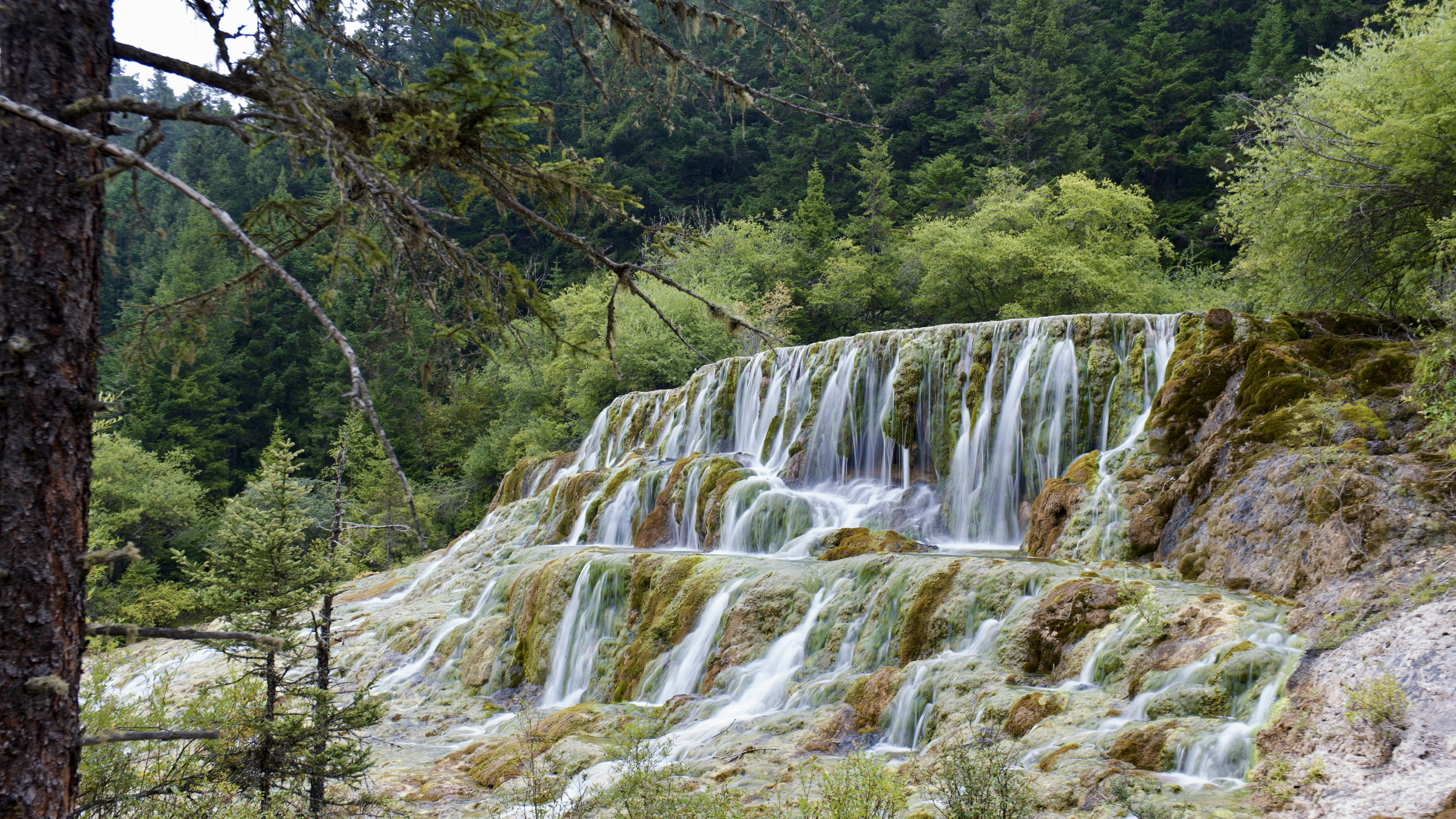 NAO destination photo