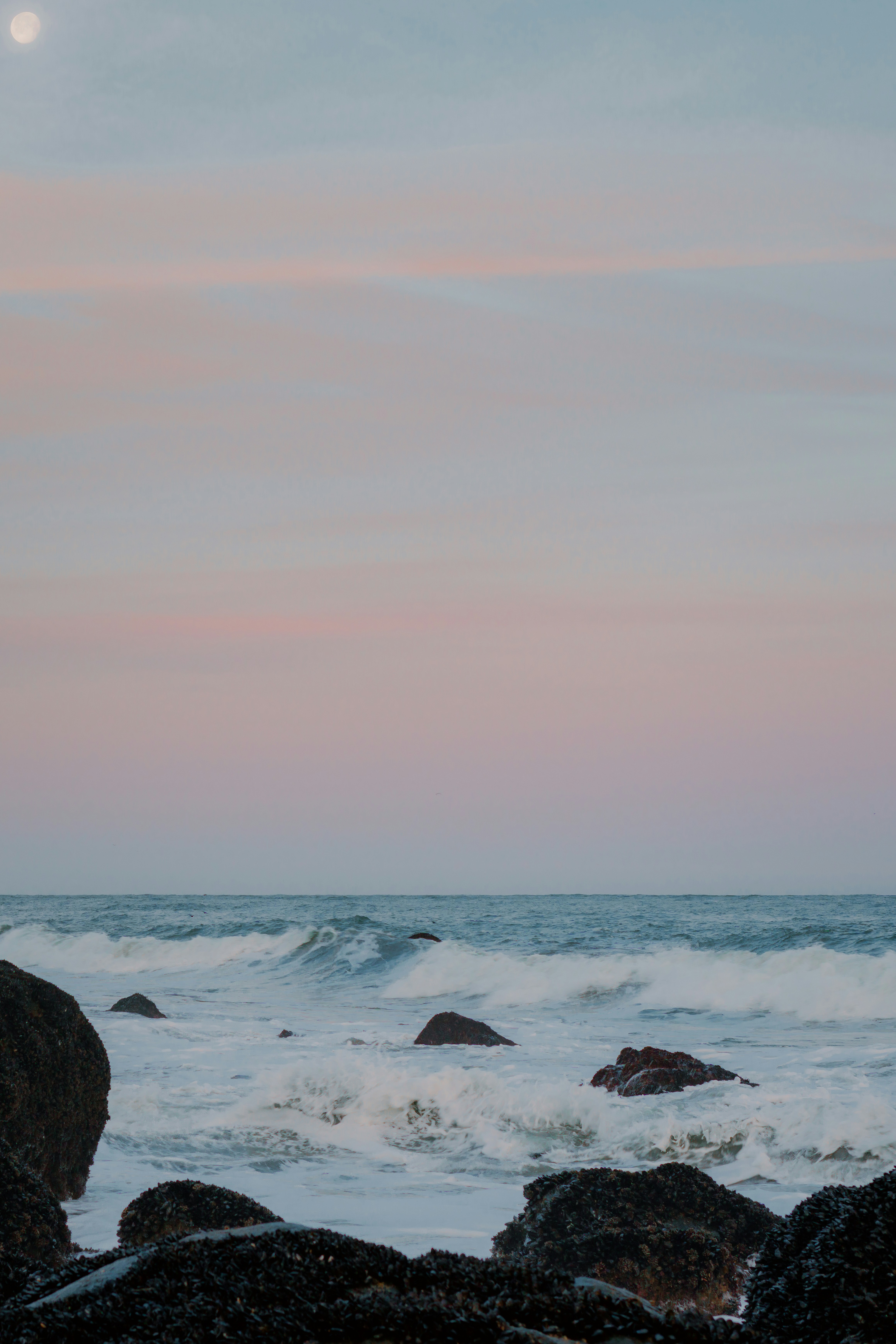 Photo by kalaniparker