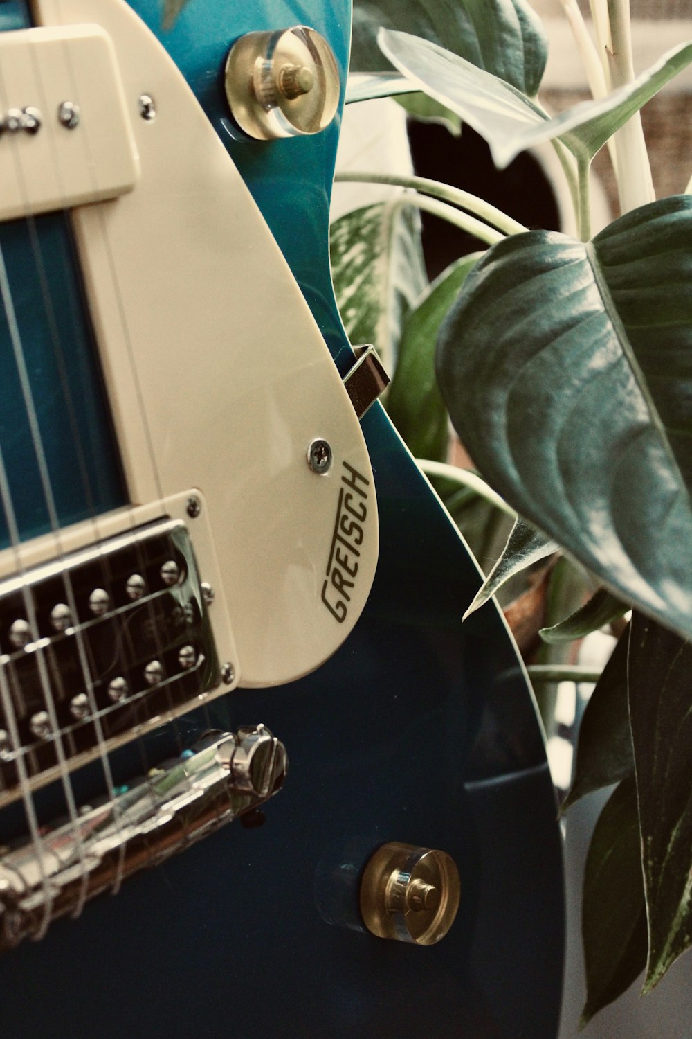 a close up of a guitar with a plant in the background
