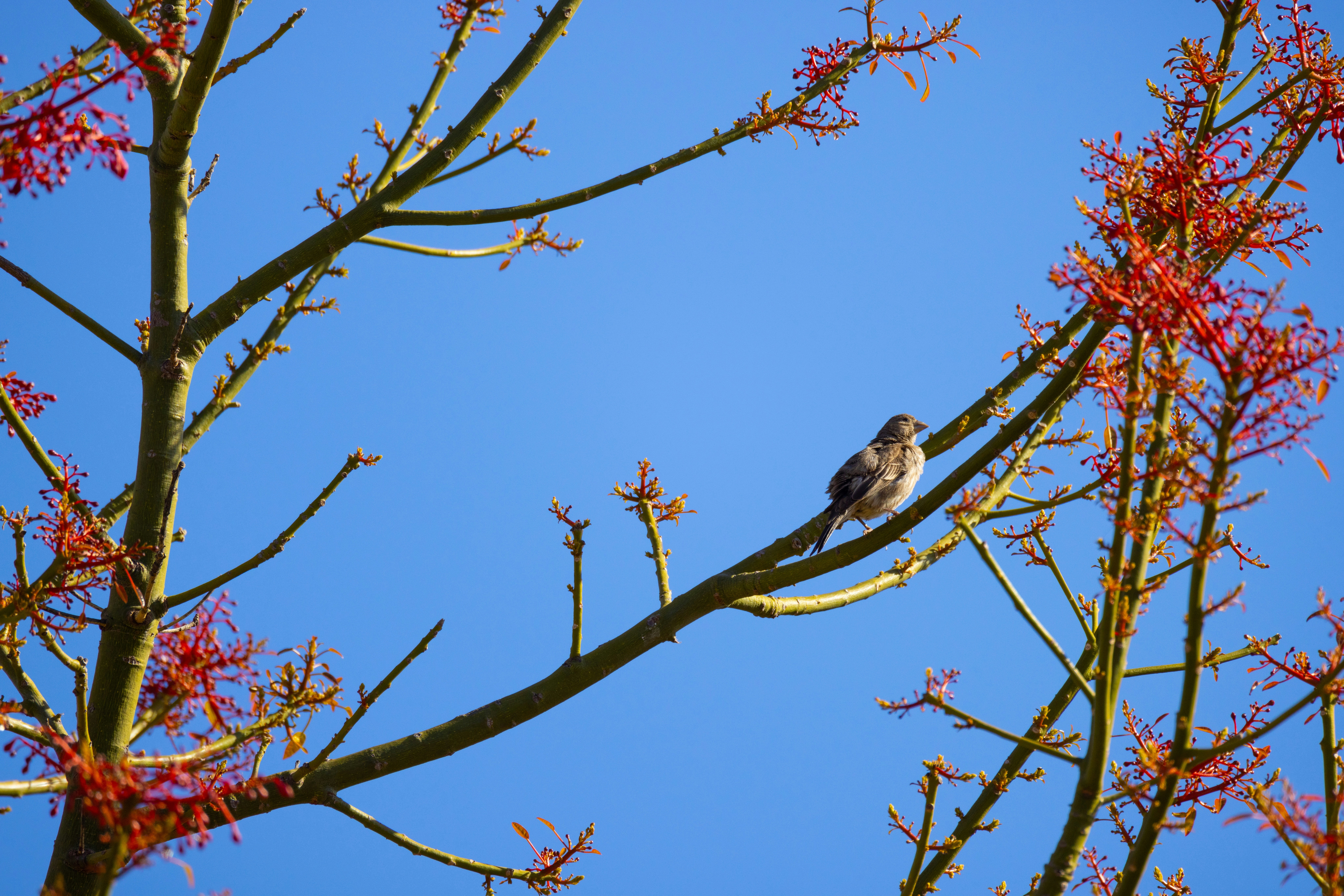 Photo by arttoinspire