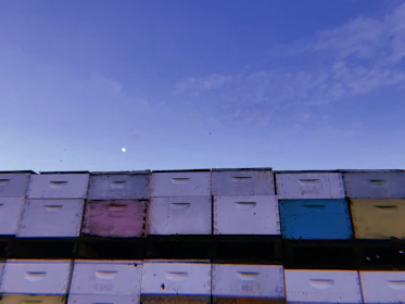 Rustic wooden hive boxes stacked neatly with a backdrop of soft cream-colored sky at dawn.