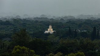 A distant, illuminated temple-like structure is nestled amidst a dense forest, with layers of mist or fog hanging over the trees. The surrounding vegetation is lush and vibrant, creating a mystical and serene atmosphere.