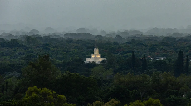 A mysterious, celestial-coded sanctuary nestled within a digital forest of glowing symbols.