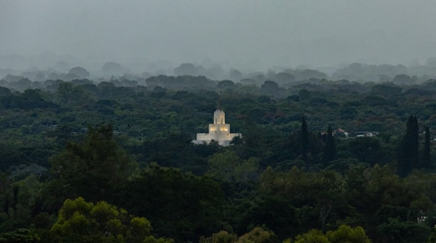 A distant, illuminated temple-like structure is nestled amidst a dense forest, with layers of mist or fog hanging over the trees. The surrounding vegetation is lush and vibrant, creating a mystical and serene atmosphere.