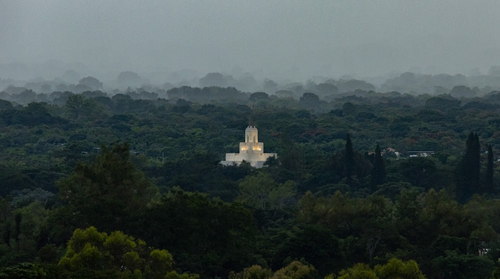 a large white building surrounded by trees on a foggy day