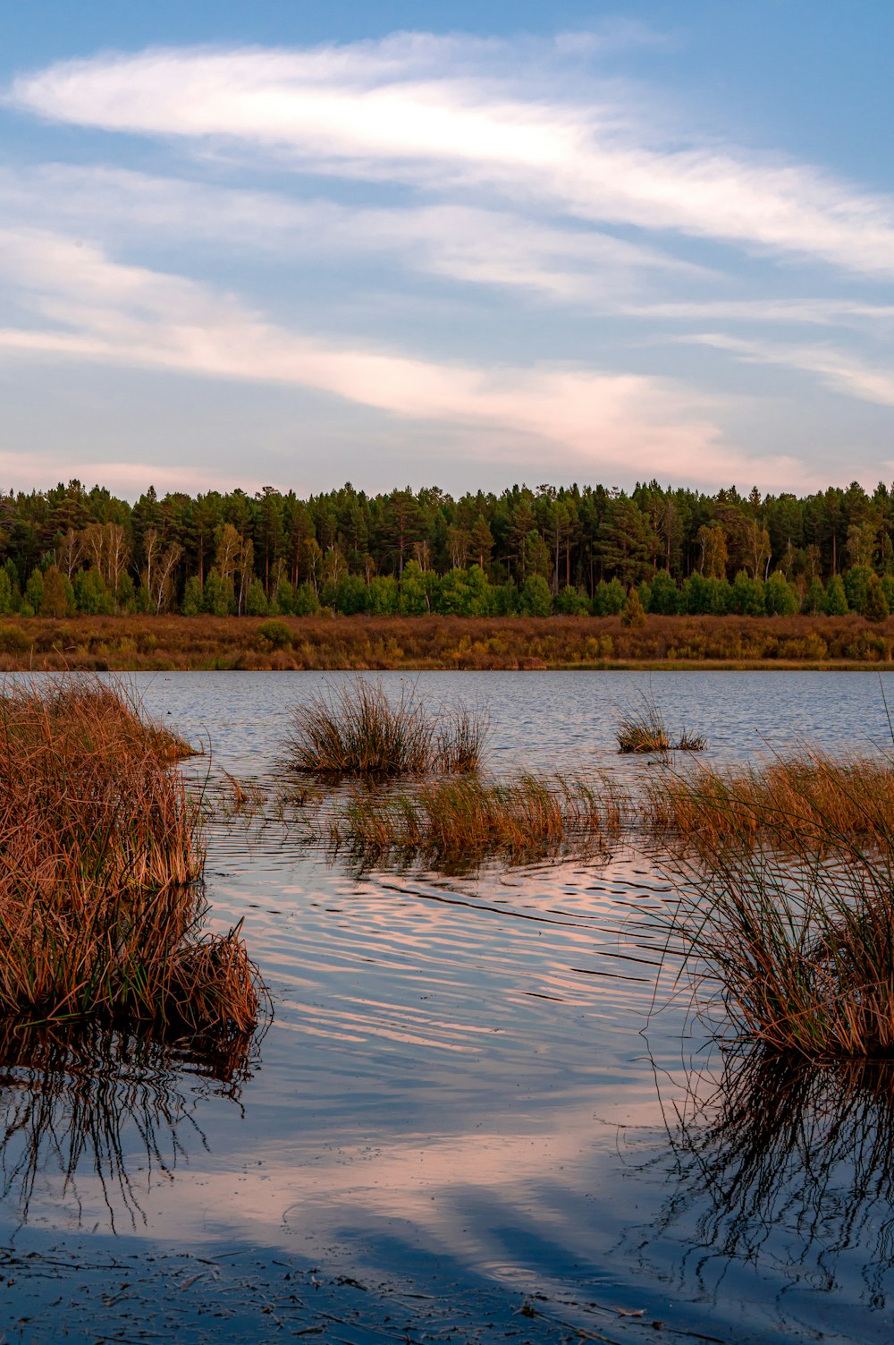 a body of water surrounded by grass and trees