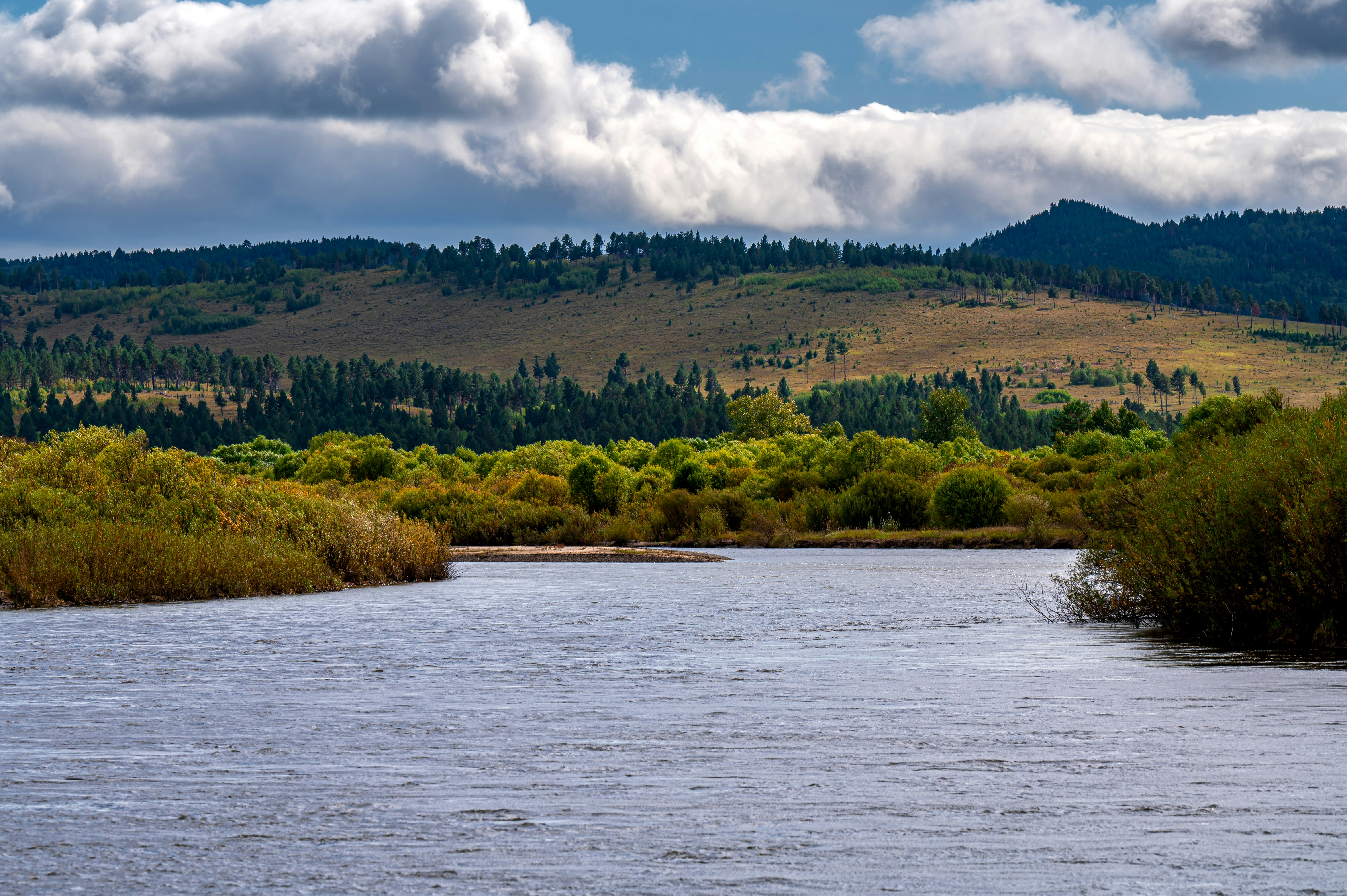 a large body of water surrounded by trees