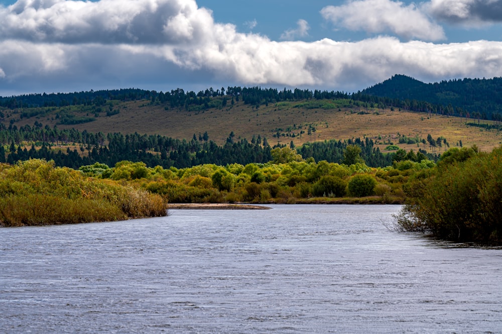 a large body of water surrounded by trees