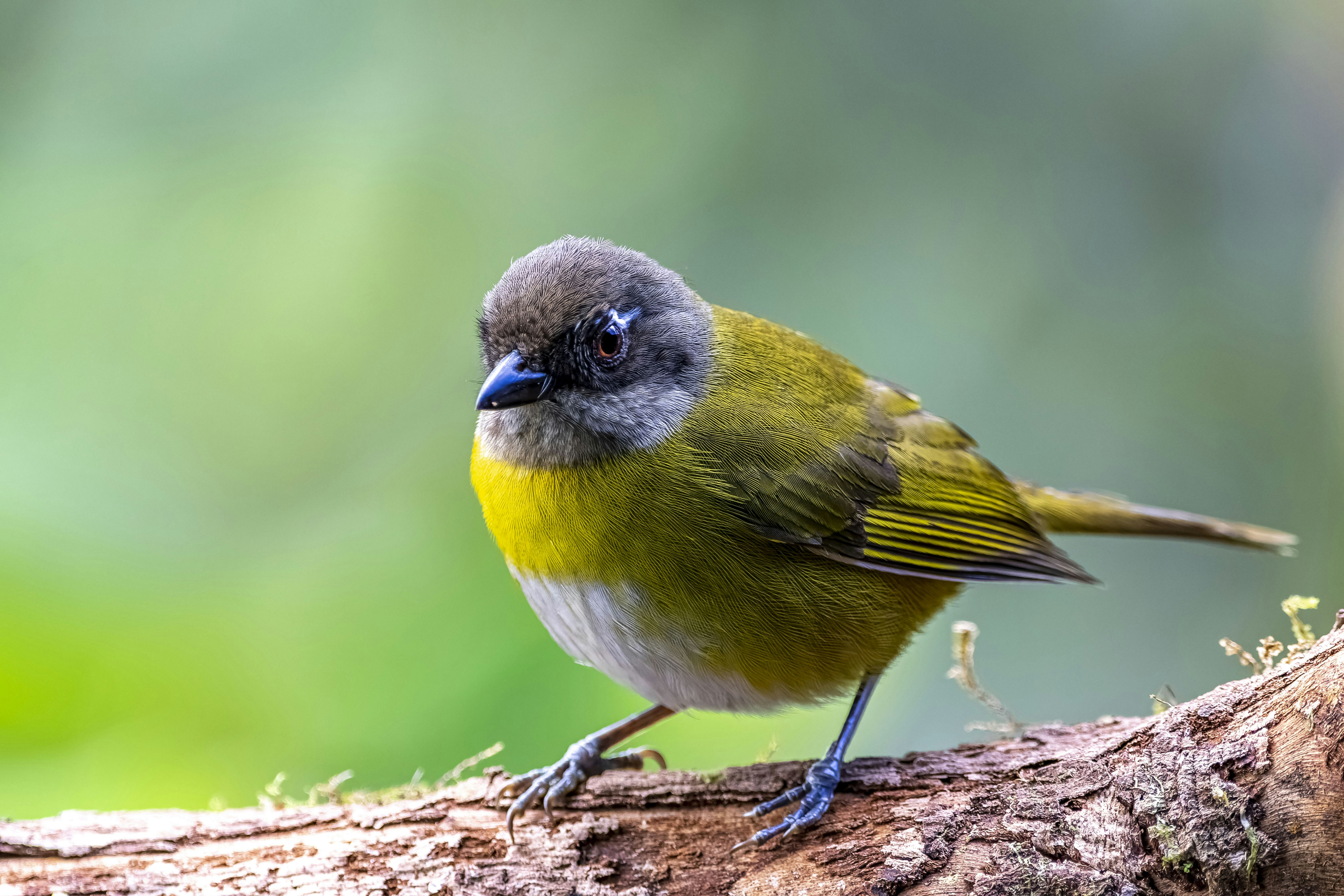 Photo by ernesto_arguello