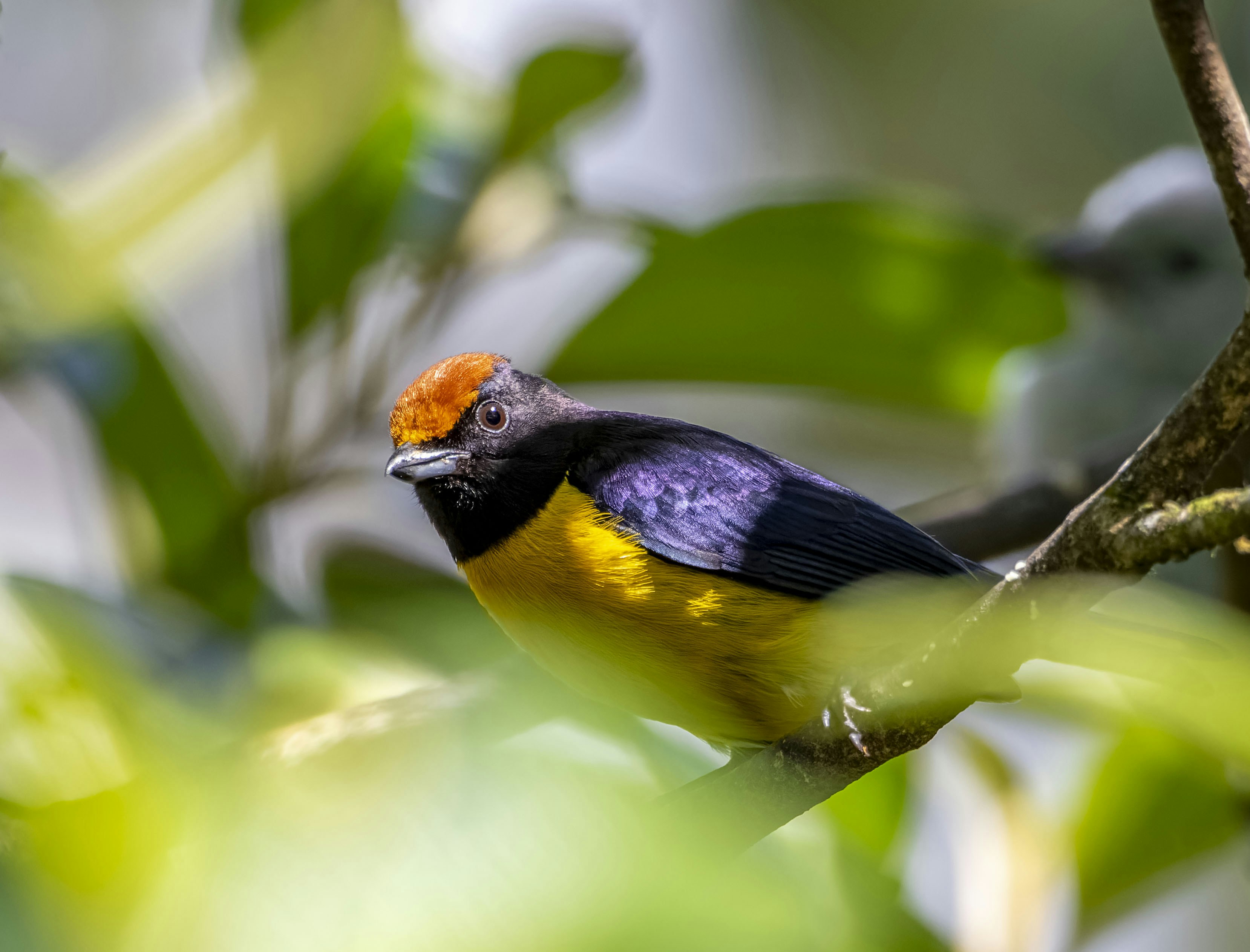 Photo by ernesto_arguello