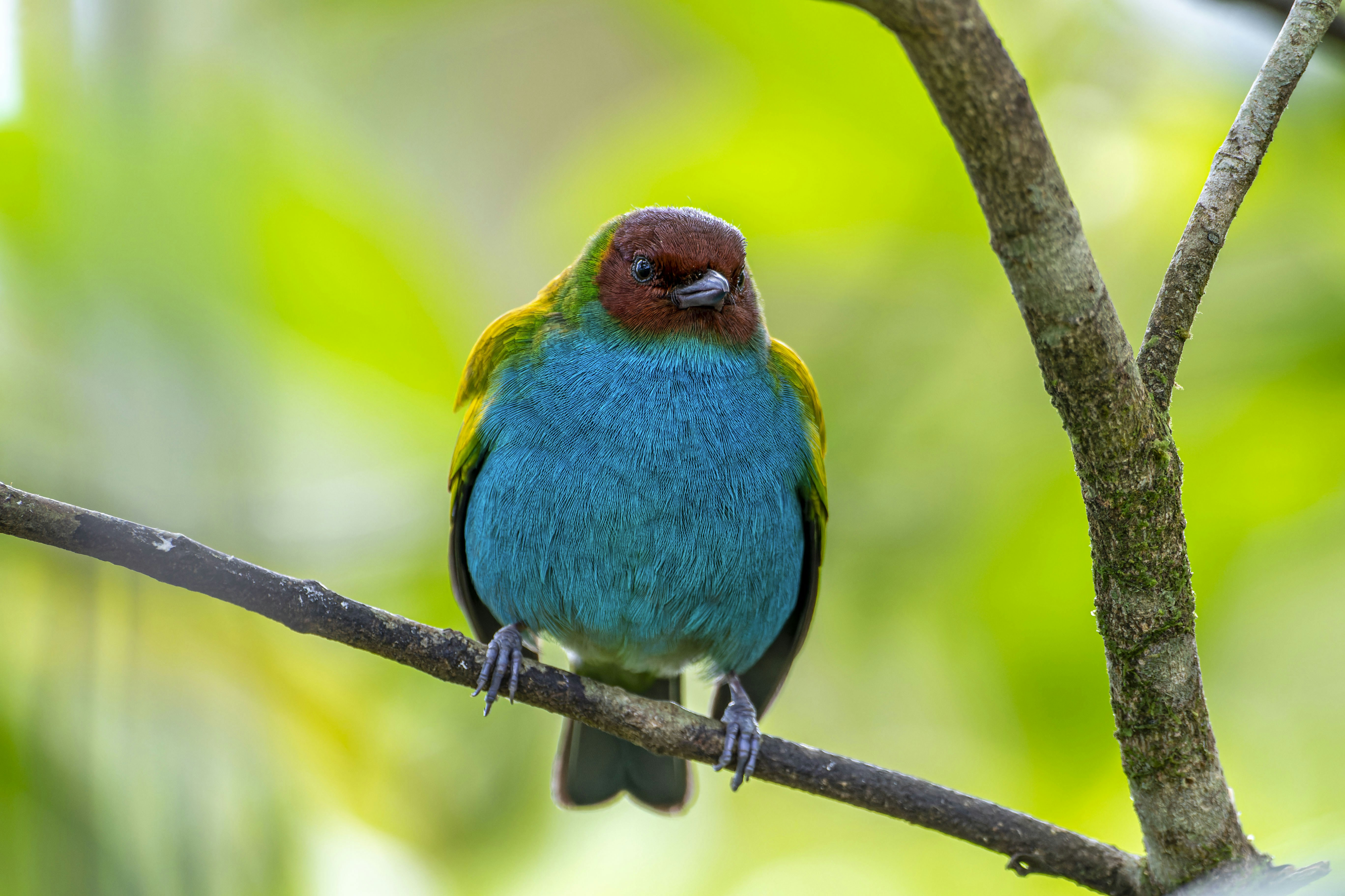 Photo by ernesto_arguello