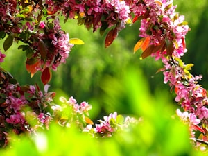 Blush Floral Garland