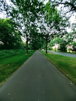 A wide, tree-lined road within neoliv plots, showcasing smooth connectivity and clean surroundings.