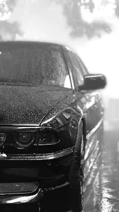 A matte black car parked beside a misty Kerala backwater at dawn.