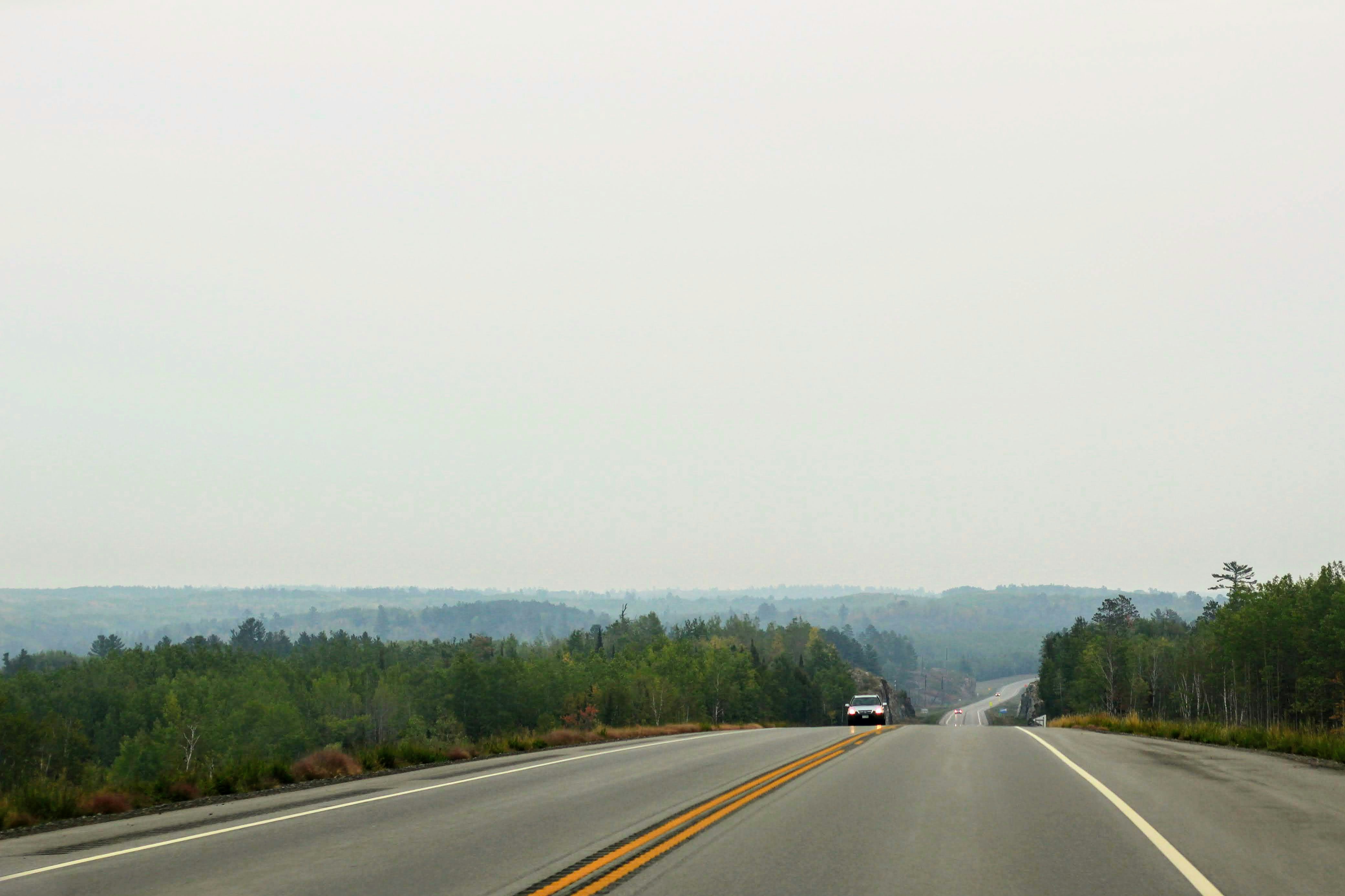 a car driving down a road with a forest in the background