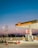 A gas station at dusk with bright lights illuminating the area. The sky transitions from deep blue at the top to a lighter, warmer hue near the horizon. The station includes several fuel pumps under a shelter displaying the Shell logo, surrounded by orange traffic cones. There are signs and a small plant nearby, with street lamps providing additional lighting.